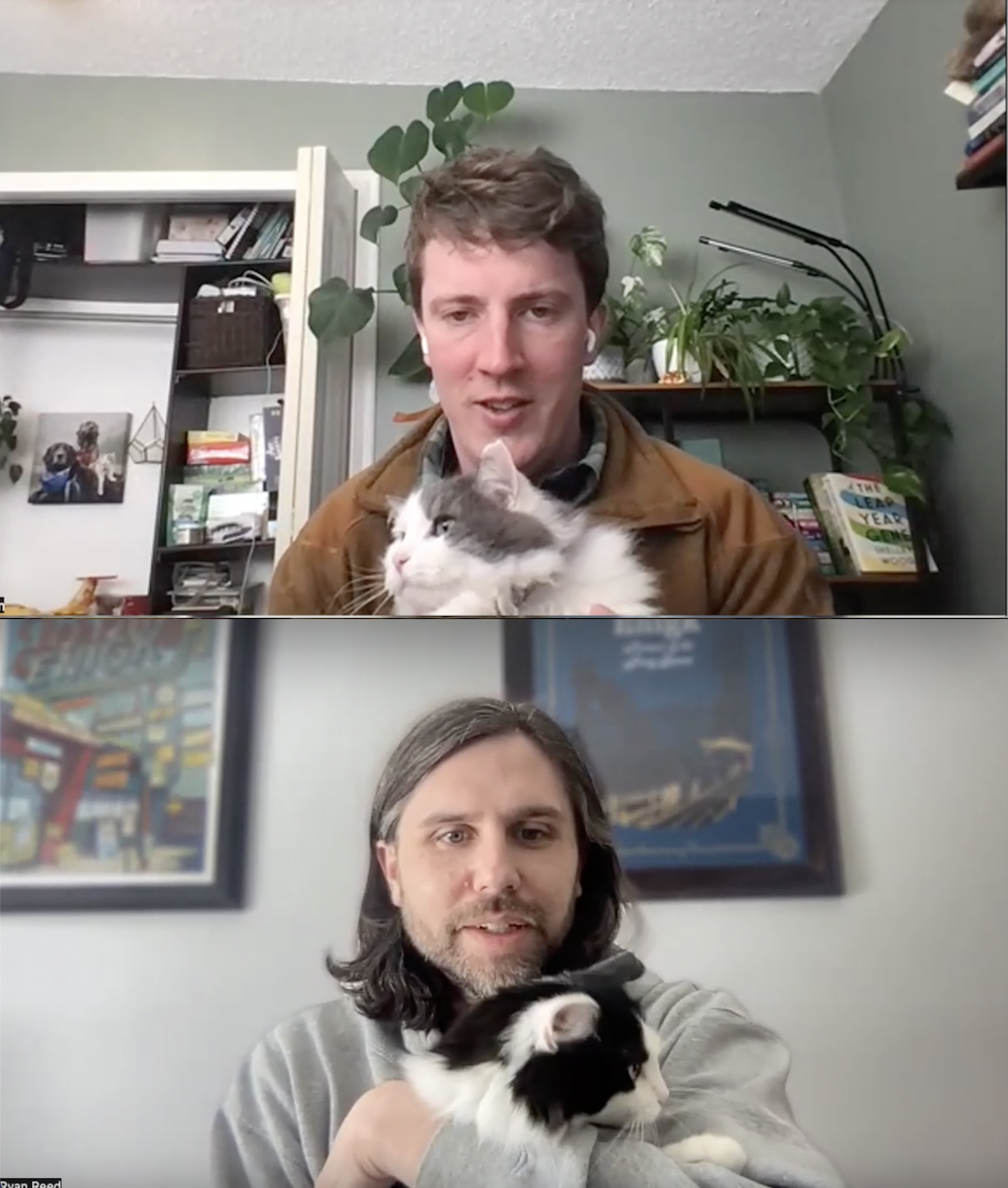 cats, animals, interview, animals, cat parents