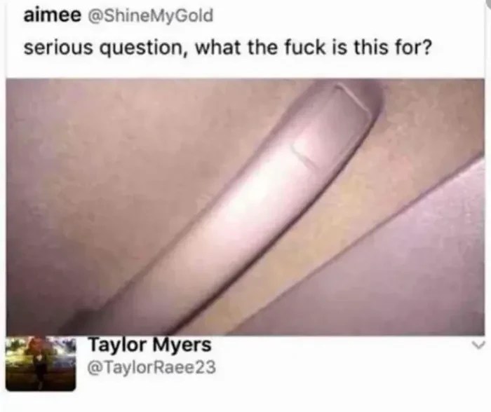 car handle, car ceiling grip, viral tweet, oh shit bar, twitter mystery solved, car interior parts, tiktok viral moment, passenger handle, funny mom moments, driving humor
