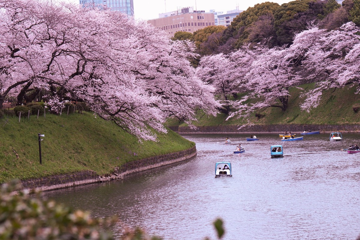 love journey, creative proposal, digital art, mapping love, GPS tracking, unique proposal, travel love story