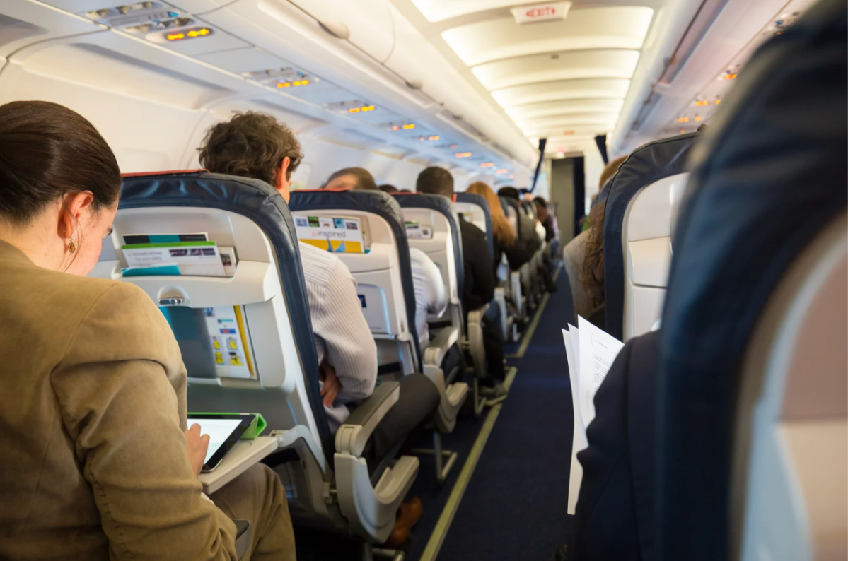 joseph fasano, viral author story, airplane coincidence, book on a plane, swallows of lunetoo, twitter story, author encounter, poetry and novels, viral tweet, unexpected meeting