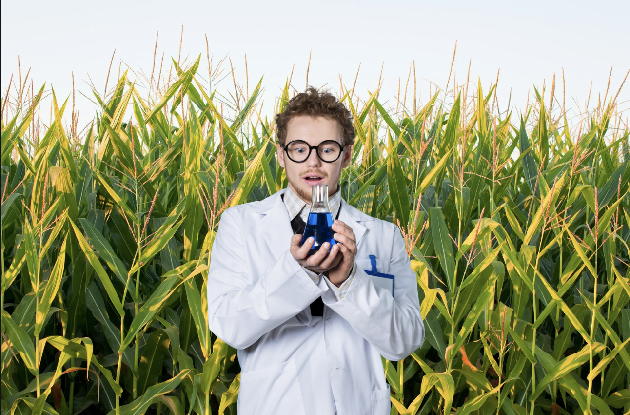teen science discovery, antiviral drug, corn husk, scientific breakthrough, teenager scientist