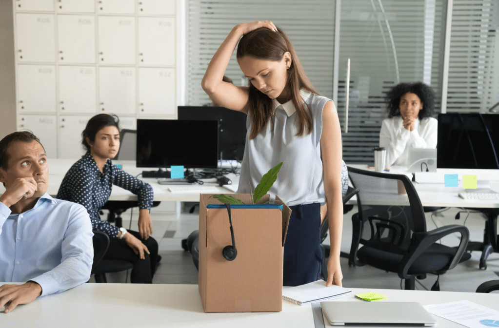 workplace revenge, layoffs, fired from job, reddit revenge story, professional boundaries, av setup, petty revenge, quitting story, boss regret, employee loyalty