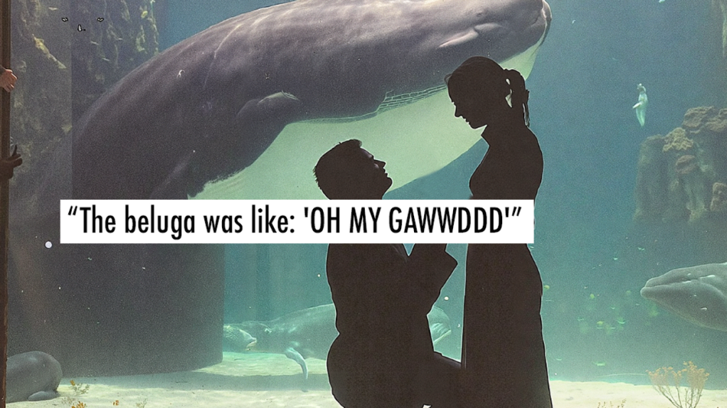 beluga whale, georgia aquarium, viral proposal, tiktok proposal, aquarium engagement, qinu the beluga, wedding proposal reaction, marine animals, animal reaction videos, viral video 2025