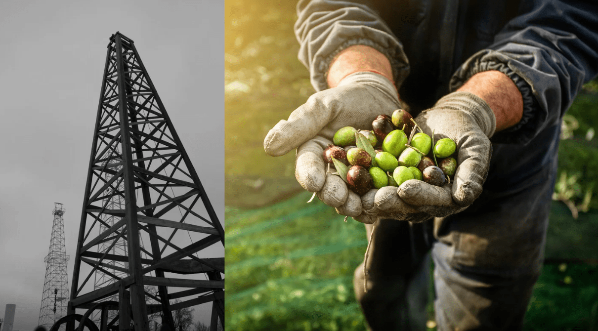 olives, clean energy, eco-friendly fuel, climate change, deforestation