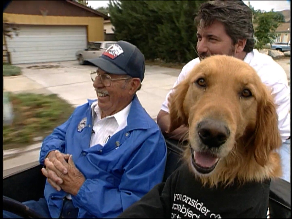 dog, pet tricks, SPCA, driving dog, training, community, fun story, abandoned pets, stupid pet tricks
