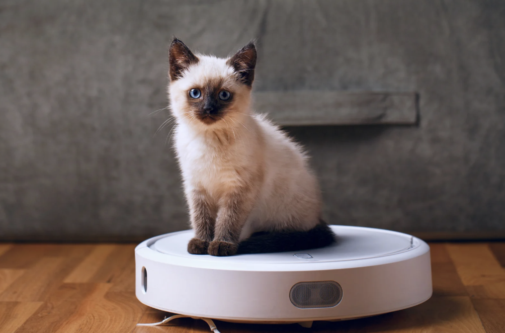 robot vacuum, invention, multi-functional gadgets, upgrades, roomba