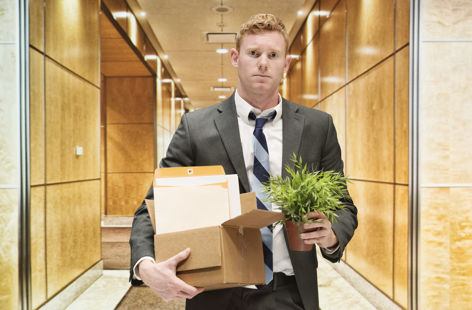 workplace revenge, layoffs, fired from job, reddit revenge story, professional boundaries, av setup, petty revenge, quitting story, boss regret, employee loyalty