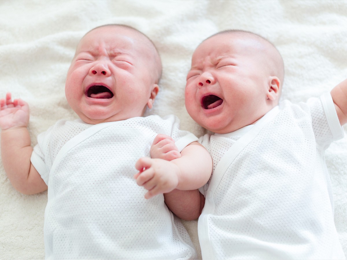 mirror neurons, feelings, brain chemistry, community, empathy