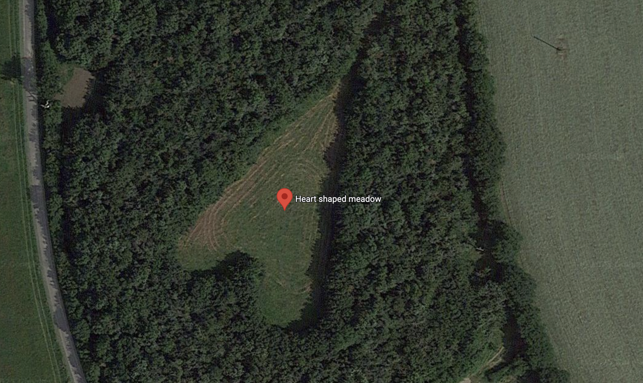 winston howes, heart shaped meadow, tree tribute, grief and love, viral photo, aerial heart tribute, janet howes, oak tree planting, hidden tribute, romantic gestures