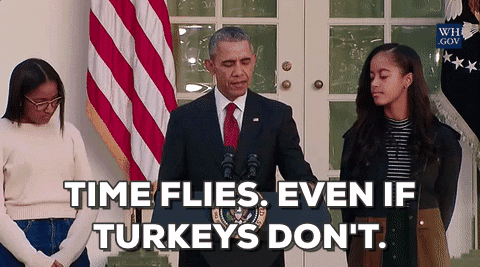 President Obama, Thanksgiving, family, leaders, stand-up comics, humorous writing, scripts