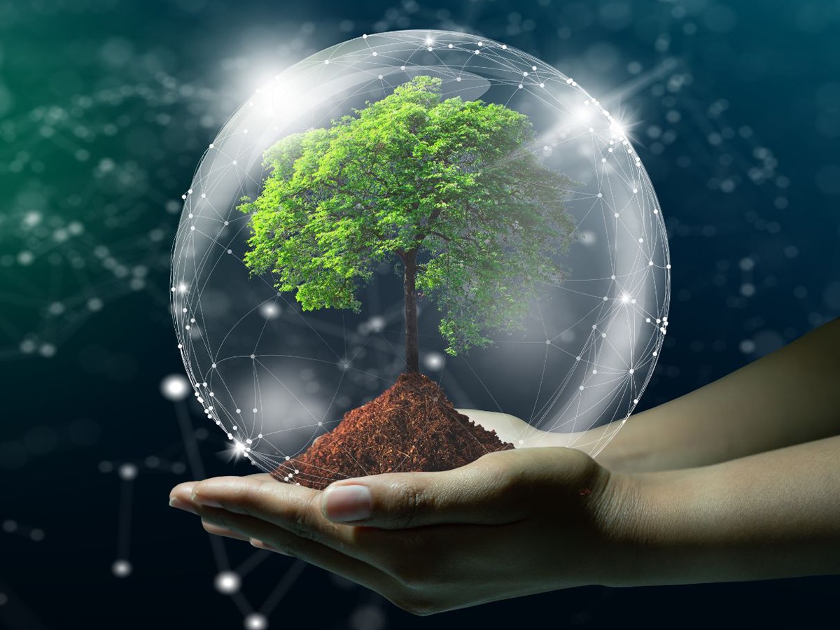 drones, seeds, forest, illegal logging, wildlife, technology, soil monitoring, human footprint