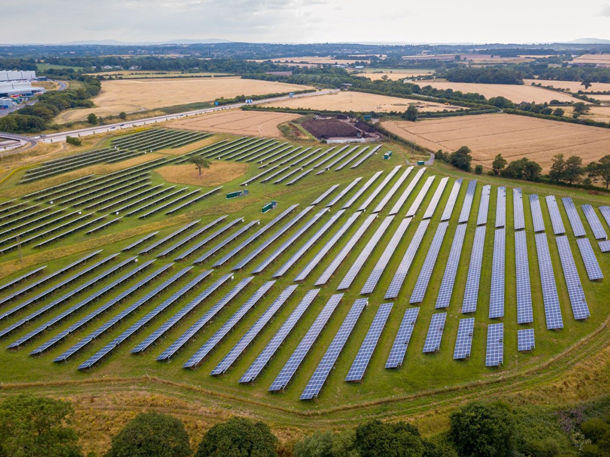 solar farm, source of energy, sunshine, wildlife, Germany, vegetation, insects, hectare, animal waste