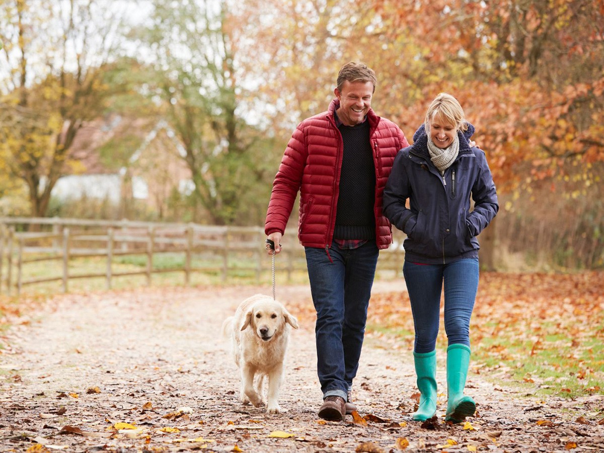 vitality, independence, quality of life, healthy habits, physical activity, exercise, mobility