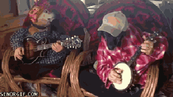 anthropomorphism, pet emotions, projection, humanizing pets, false emotions, empathy bias, owner bias, emotion attribtuion