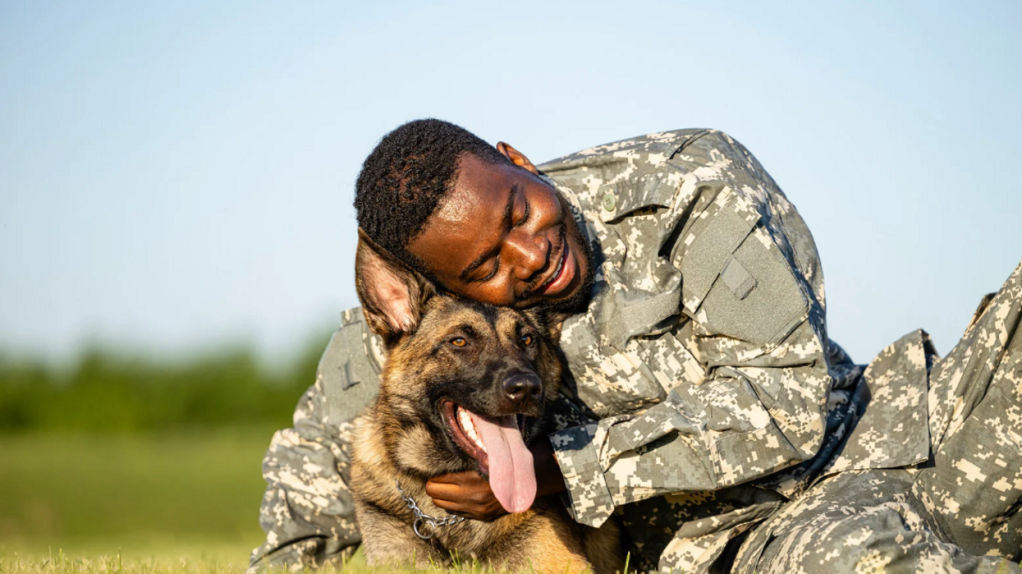 military sleep technique, fall asleep fast, navy sleep hack, insomnia remedy, sleep tricks, sleep optimization, Sharon Ackman sleep method, sleep better tips