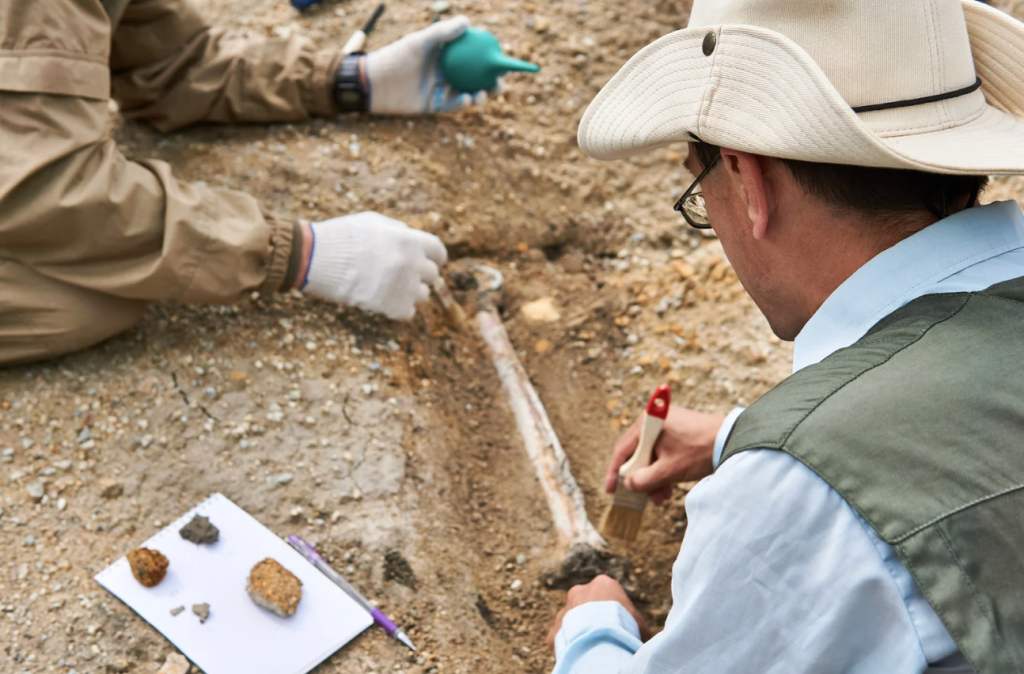 lost city, ancient history, archeology, peru, tourism