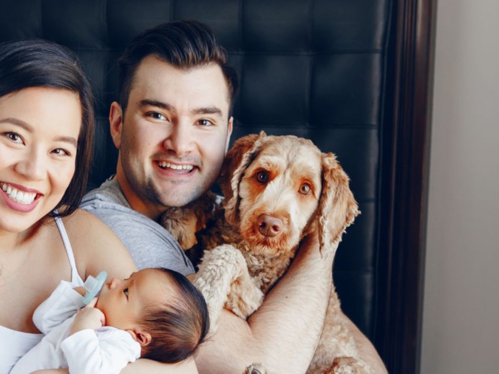 pet attachment, emotional bonding, pets, pet obsession, clingy pets, owner anxiety, codependency, pet psychology