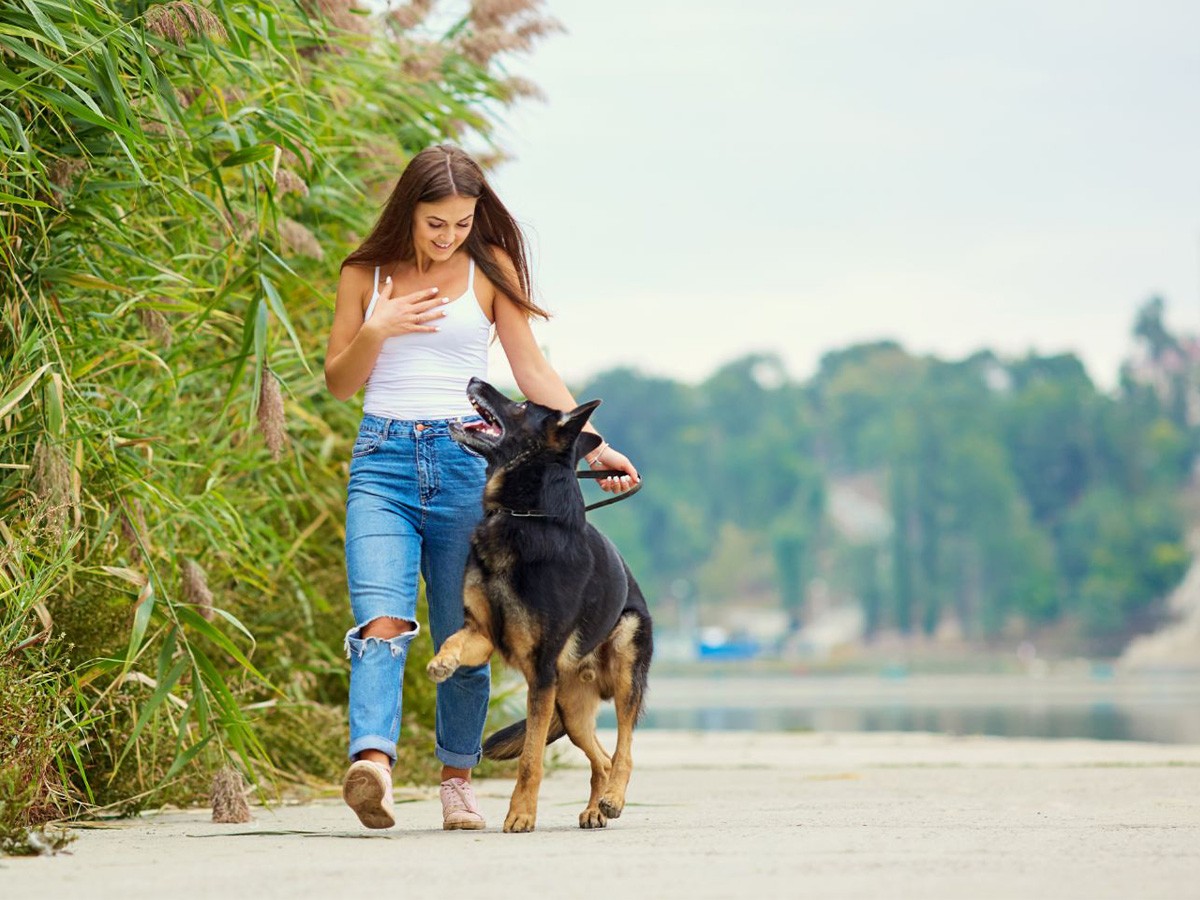 walking, joint health, stress management, cardiovascular fitness, longevity, healthy aging, wellness