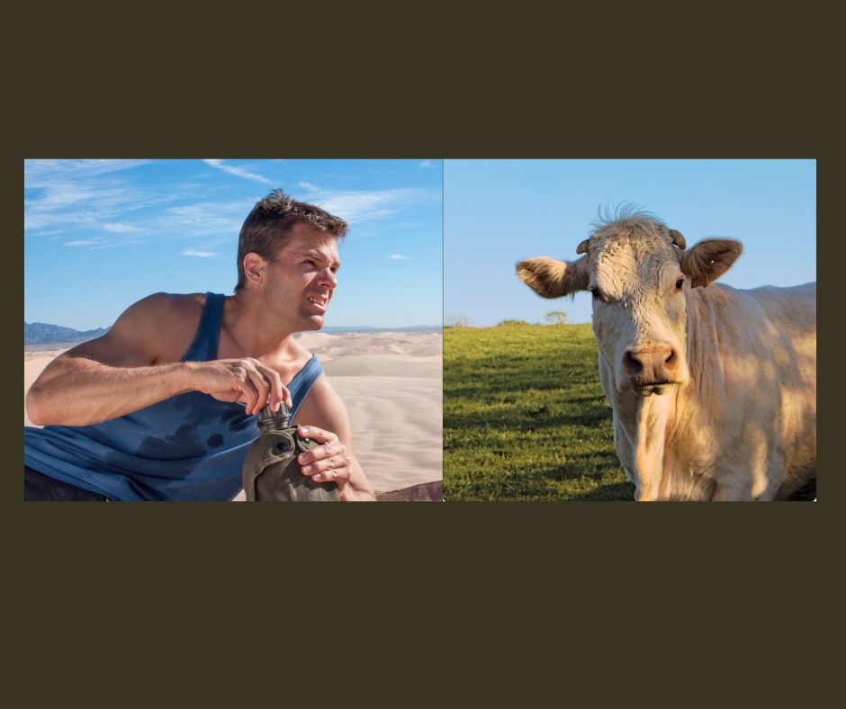 hydration, milk, protein, water, health advice, health