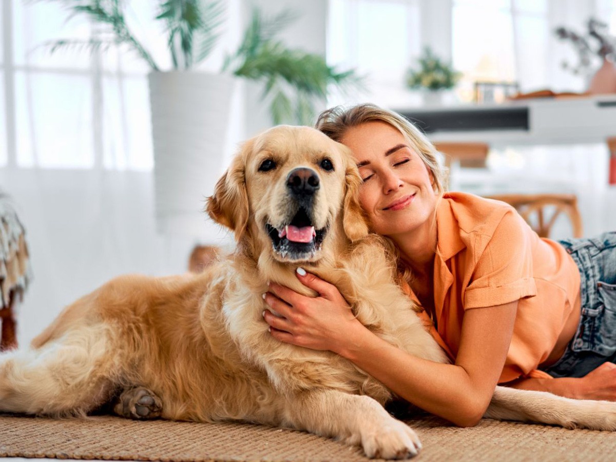 friendship, companionship, dogs, hugs, woman, pet owner, family pets