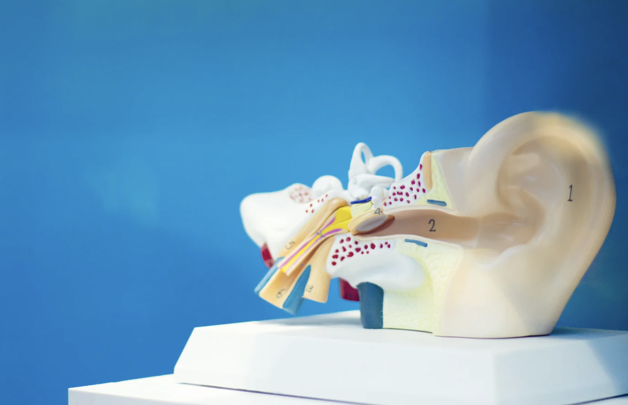  hearing loss, rare medical conditions, reverse slope hearing loss, audiology, women's health, viral hearing loss, health news