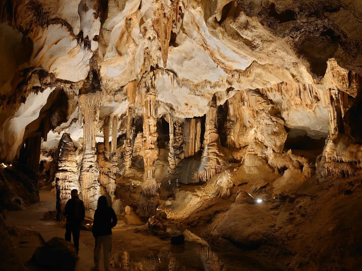 Representative Image Source: Pexels | parfait fongang