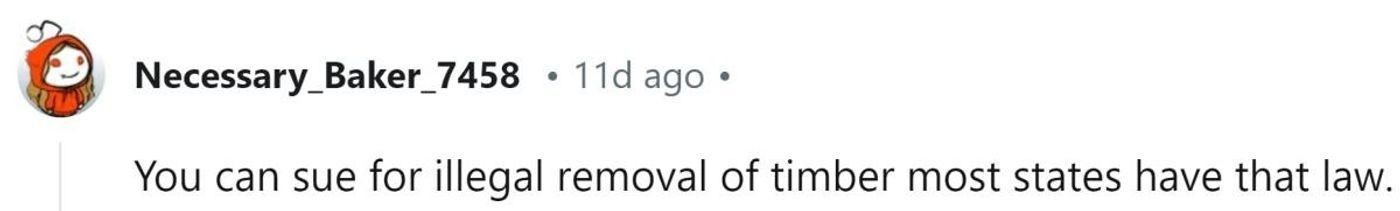 HOA dispute, homeowner revenge, unauthorized tree trimming, mulberry tree lights, petty revenge story, HOA conflict, neighborhood drama, property boundaries, Christmas lights prank, Reddit HOA stories