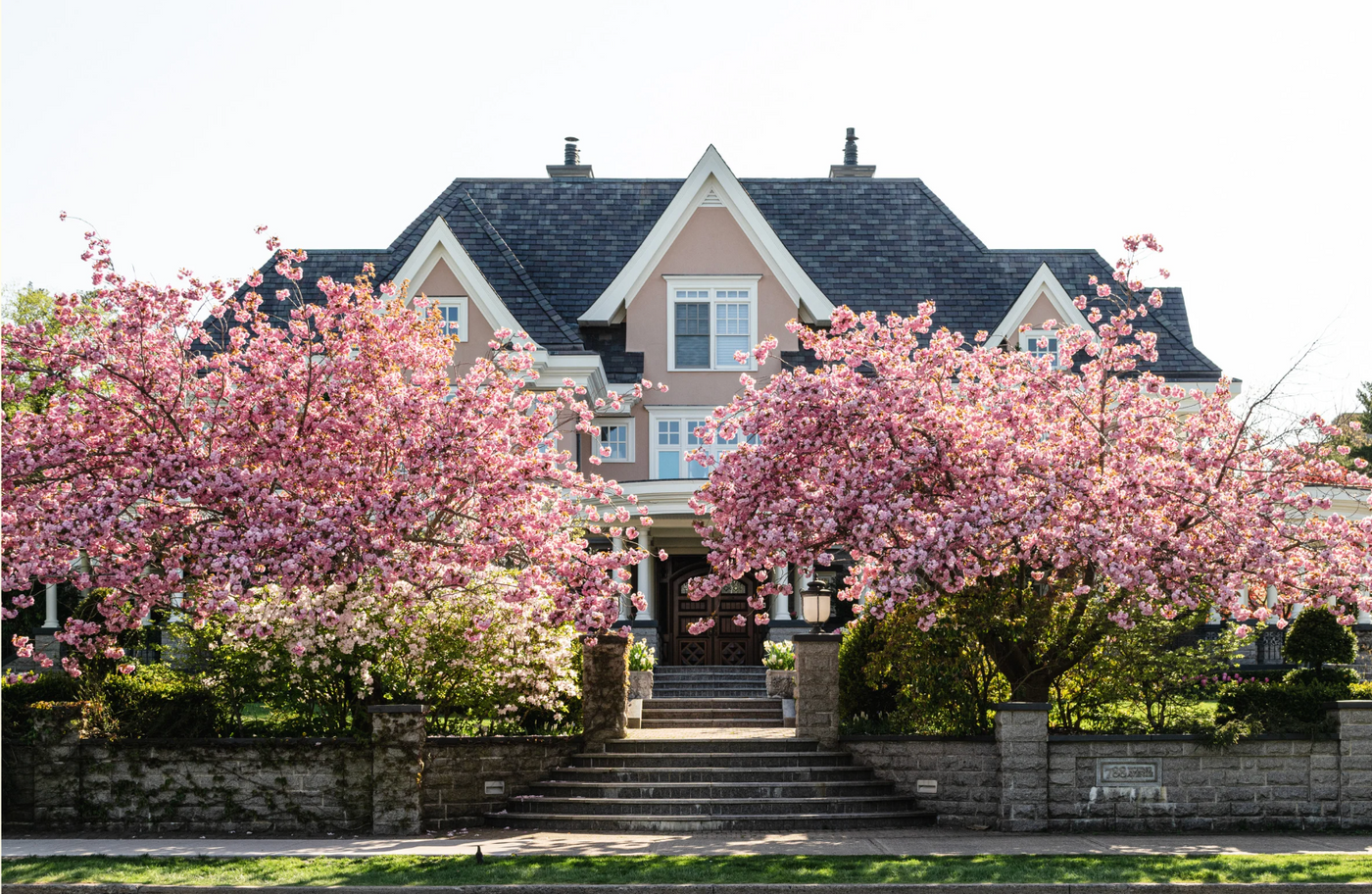 HOA dispute, homeowner revenge, unauthorized tree trimming, mulberry tree lights, petty revenge story, HOA conflict, neighborhood drama, property boundaries, Christmas lights prank, Reddit HOA stories