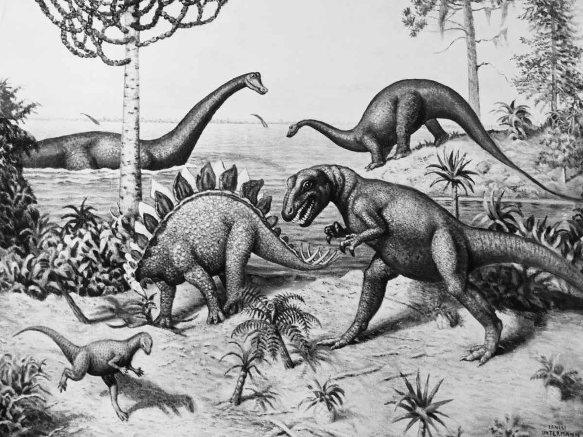 Representative Image Source: Painting from a series by Ernest Untermann in the museum at Dinosaur National Monument, Utah.