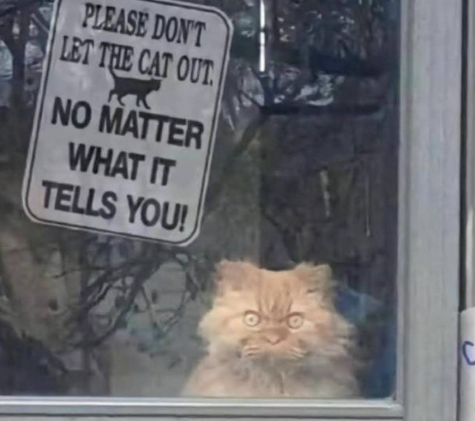 funny signs, viral humor, Reddit funnysigns, funny warning signs, humorous signage
