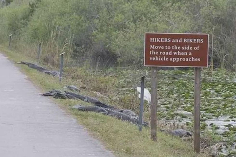 funny signs, viral humor, Reddit funnysigns, funny warning signs, humorous signage