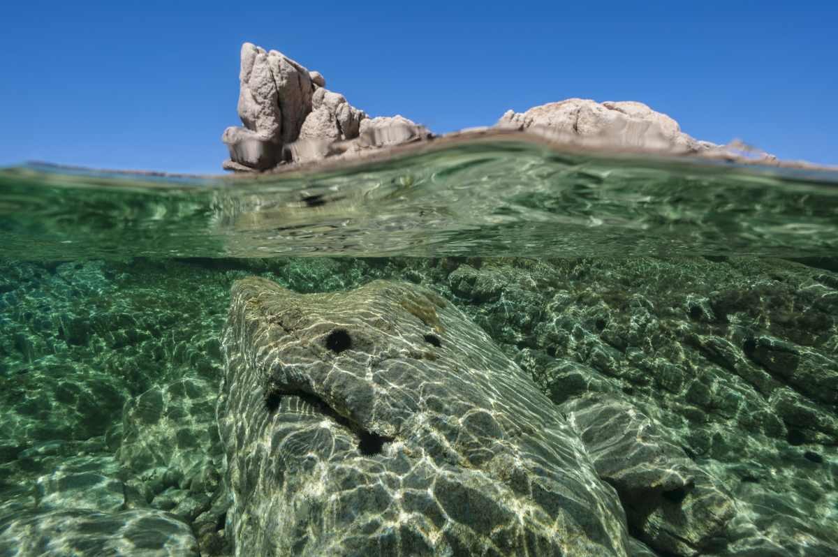 Representative Image Source:  A splitted view mid-air mid-water in the corsican waters, on August 19, 2011 in Porto Pollo, France. (Photo by Alexis Rosenfeld/Getty Images).