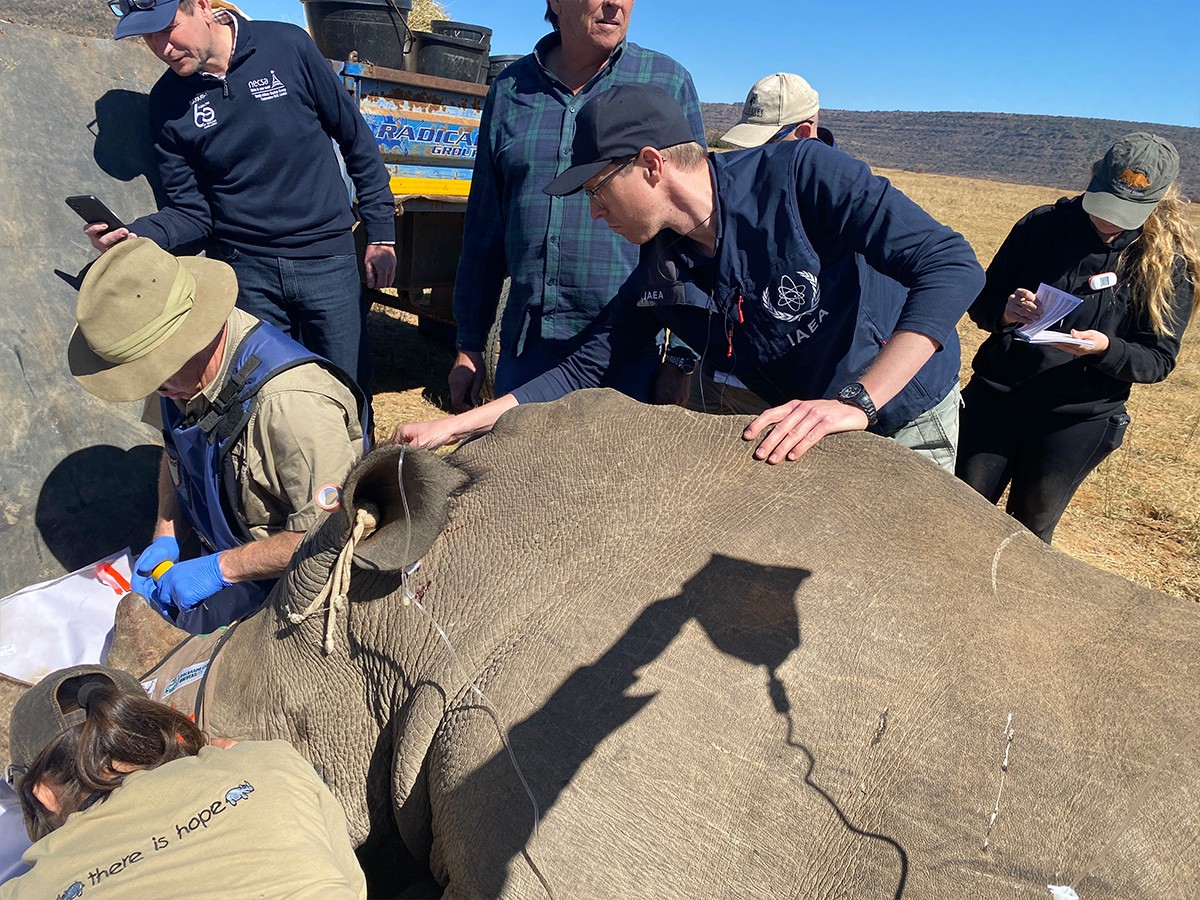 International Atomic Energy Agency, international community, international borders, landowners, nature reserves, tourism, donations