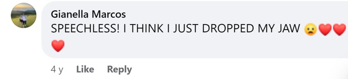 Image Source: Facebook I @gianellopi28