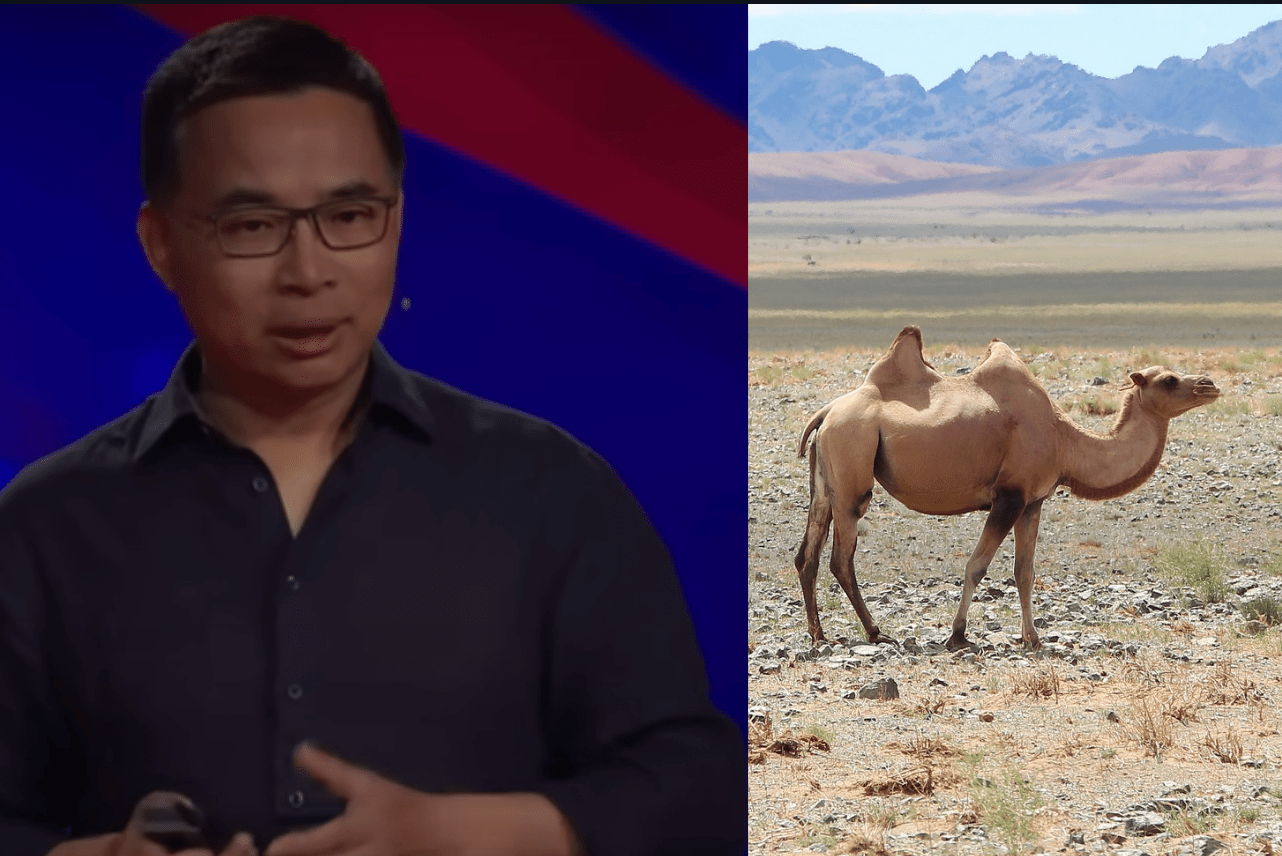 lei zhang, gobi desert, green energy, investment, climate change