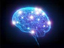 science, cognitive function, brain, memory loss, FTL1, protein, age-related, Alzheimer's