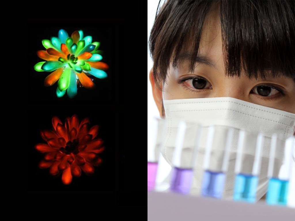 biology, China, science, succulents, bioluminescent, science fiction, nature, lighting