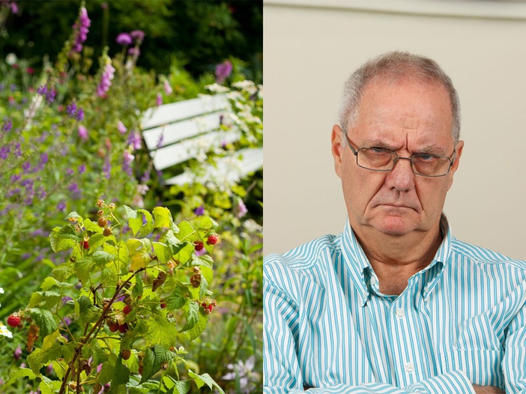 man, garden, wildflowers, homes, homeowner's association, community, HOA