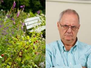 man, garden, wildflowers, homes, homeowner's association, community, HOA