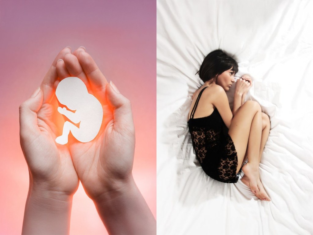 human embryo, fertility, IVF, in vitro fertilization, research, ex vivo implantation platform, microscopy, doctors