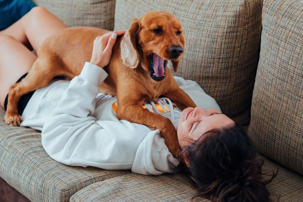 Man’s dog suddenly becomes protective of his wife, Internet clocks the reason right away
