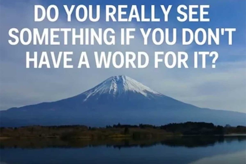 ancient languages, color perception, blue color, color words, language evolution, Homer, The Odyssey, wine dark sea, Himba tribe, Jules Davidoff, Tech Insider, color psychology, language and vision, cultural linguistics, color history, Greek language, color naming, visual perception, color experiment, linguistic relativity