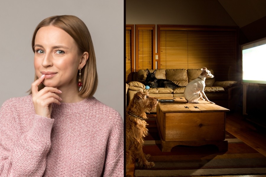 dogs, tv, dog watching tv, dog behavior, animal behavior