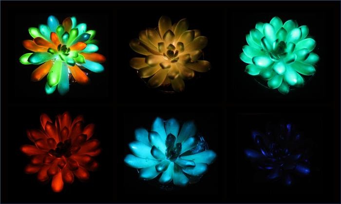 Agriculture, glowing plants, rainbow colors, environment, inventions, research, biological structure, genetically engineered