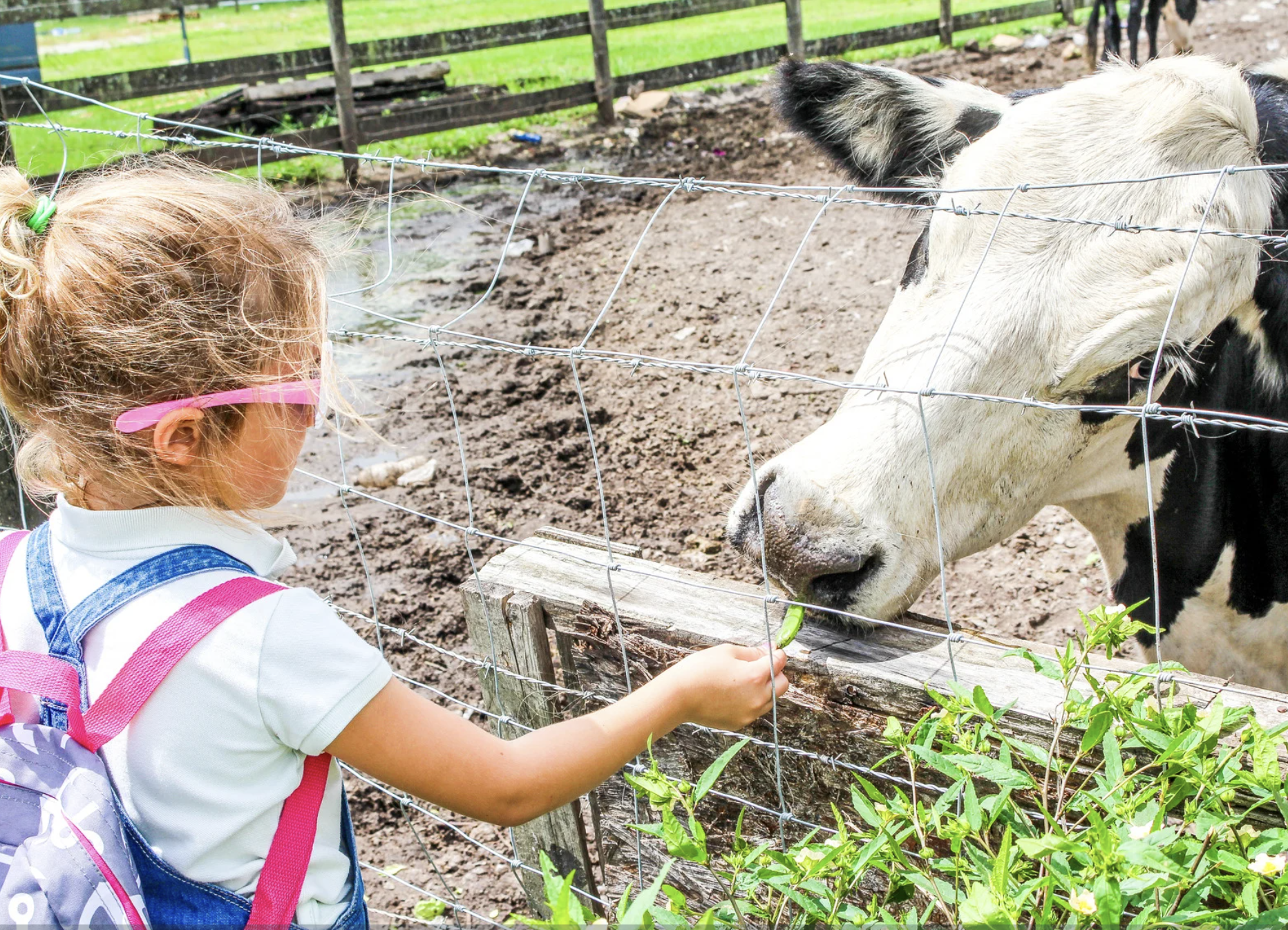 teacher stories, Reddit, malicious compliance, workplace drama, school funding, teacher appreciation, viral stories, petty revenge