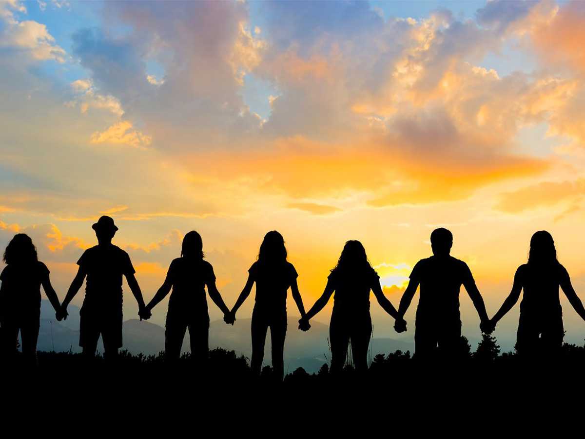 grasslands, ecosystem, nature, environment, logging, conservation, wildfires