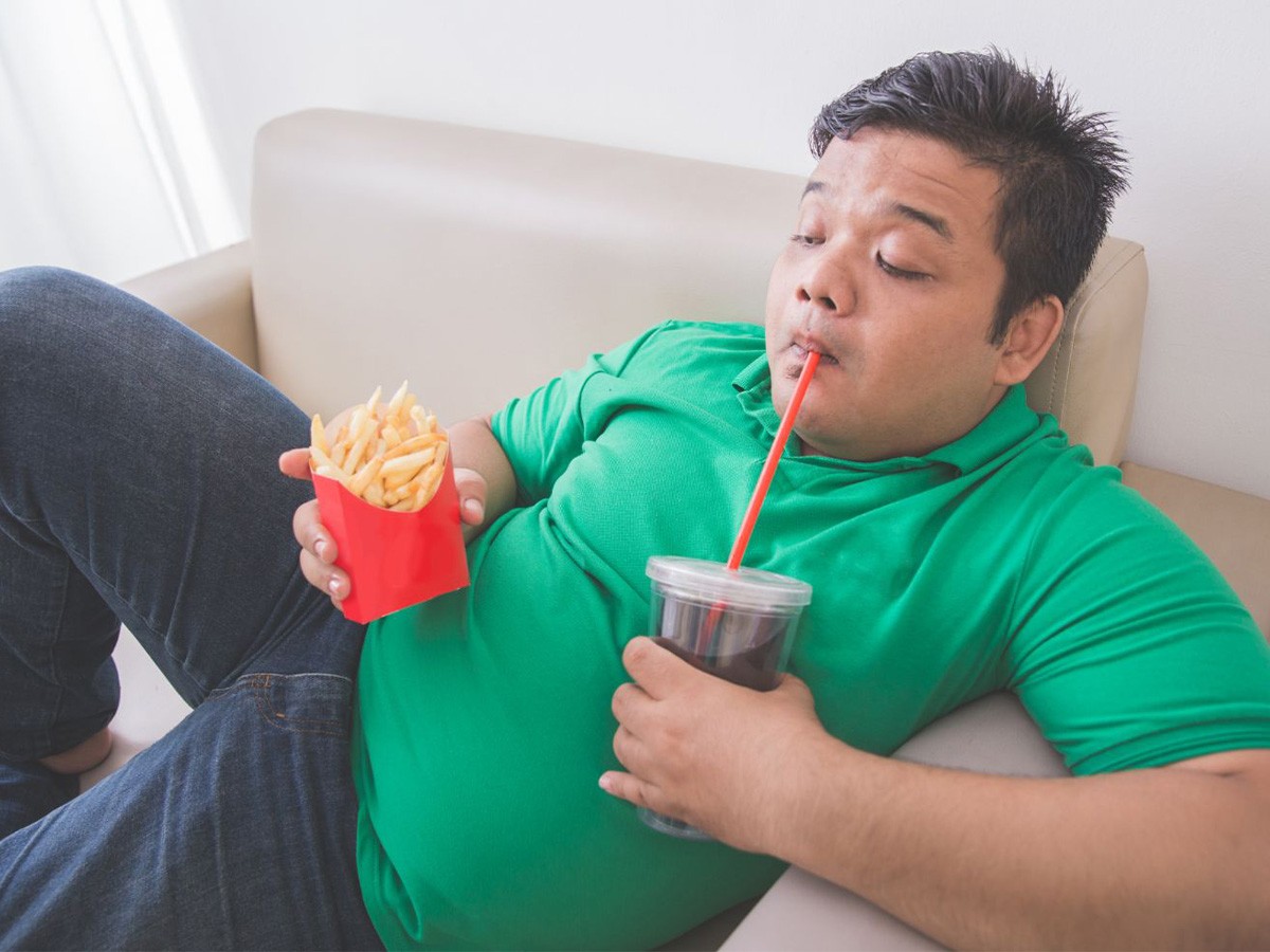 physical health, mirroring, non-active, sedentary behavior, physical activity, exercise, dietary habits, parenting styles