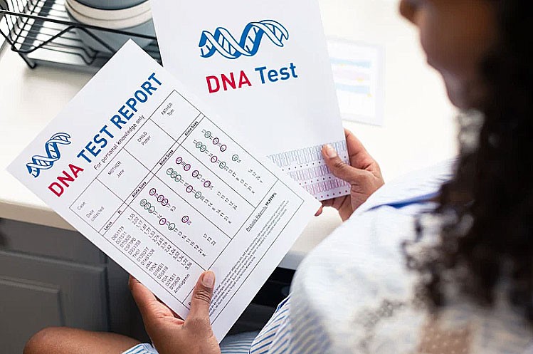 IQ difference, South Korea, United States, adoption story, twin reunion, personality traits, mental health, resilience, Science Direct, intelligence gap, separated twins, sibling study, cultural impact, childhood trauma, DNA test, twin psychology, developmental science