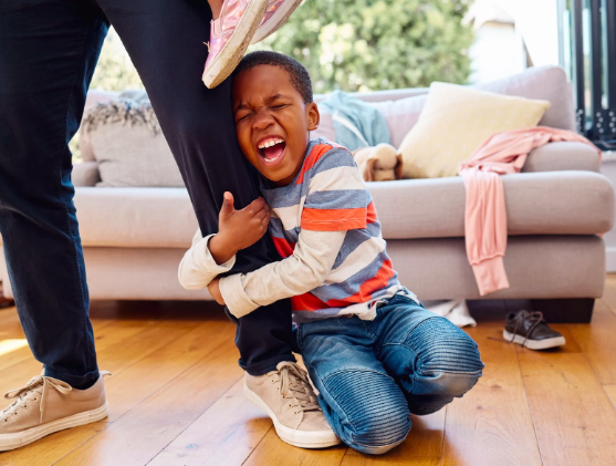 young boy, father, kid, parent, tantrum