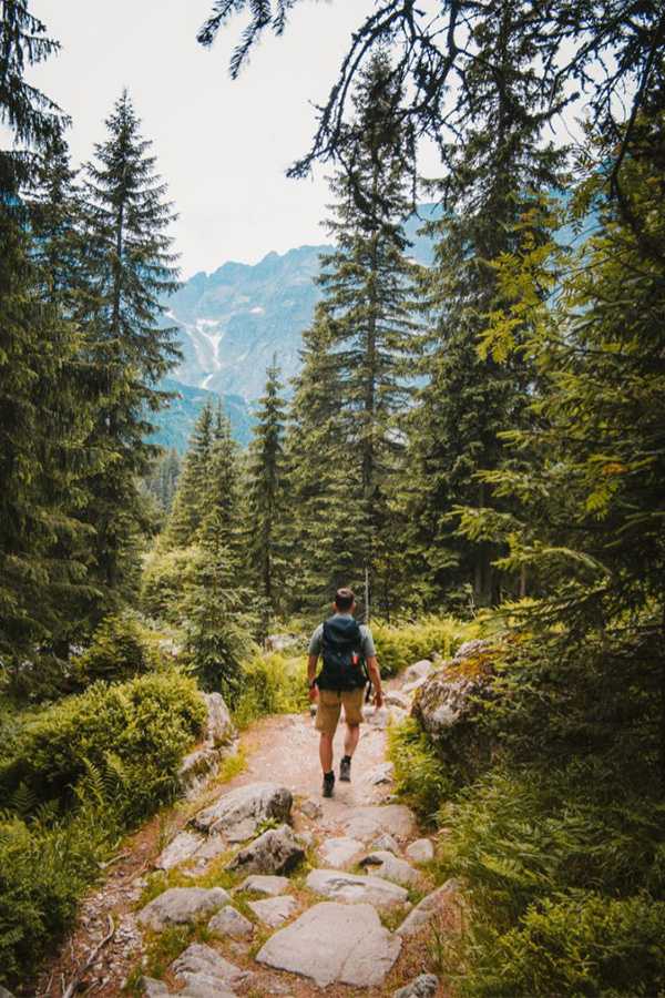 nature, laws, Congress, campaign, community, mining companies, oil companies, timber companies